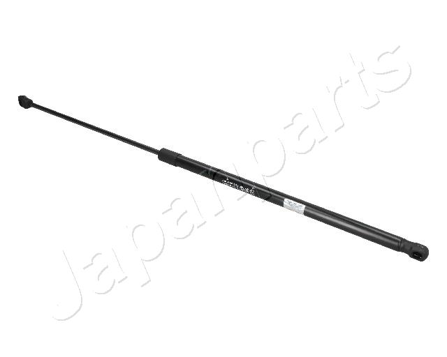 ZS09019
