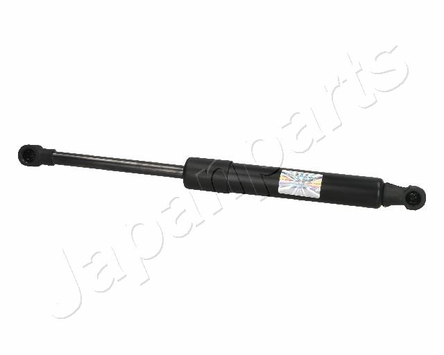 ZS06042