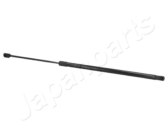 ZS01042