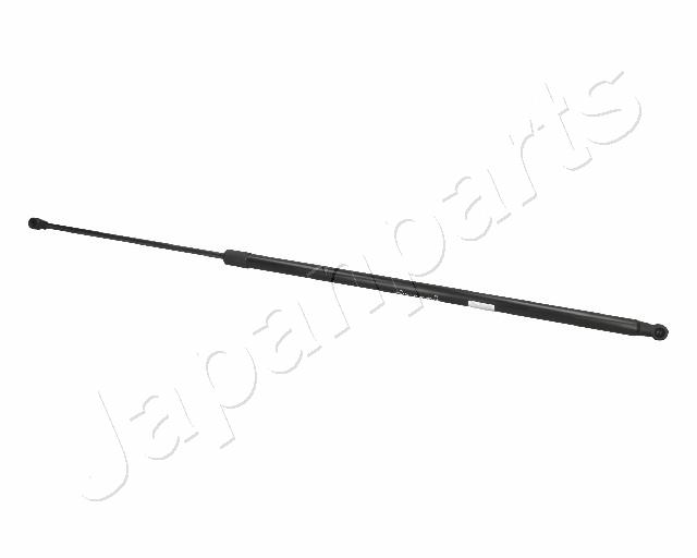 ZS07077