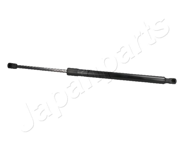 ZS09188