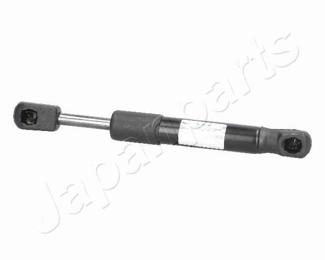 ZS09162