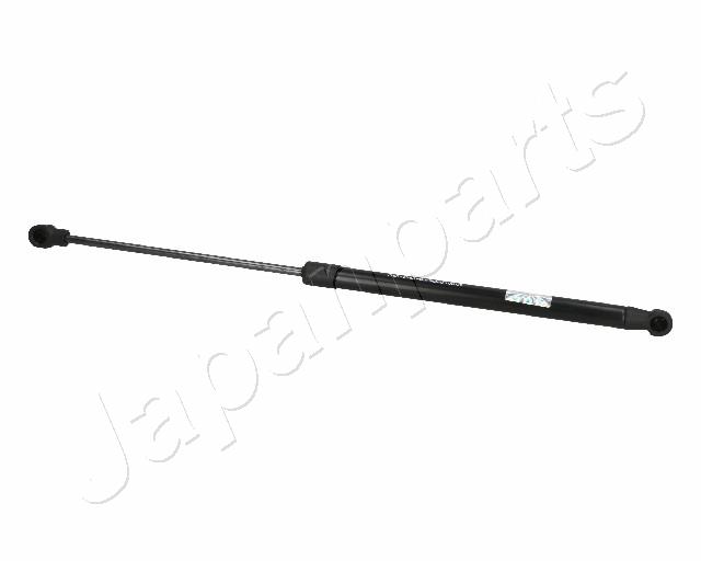 ZS06095