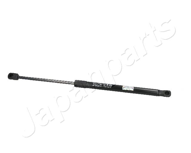 ZS09093