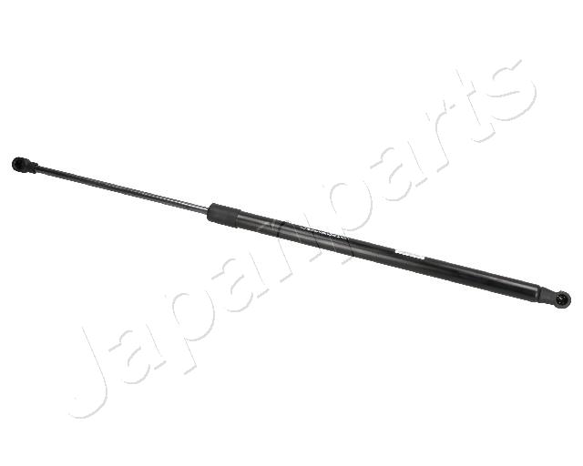 ZS07019