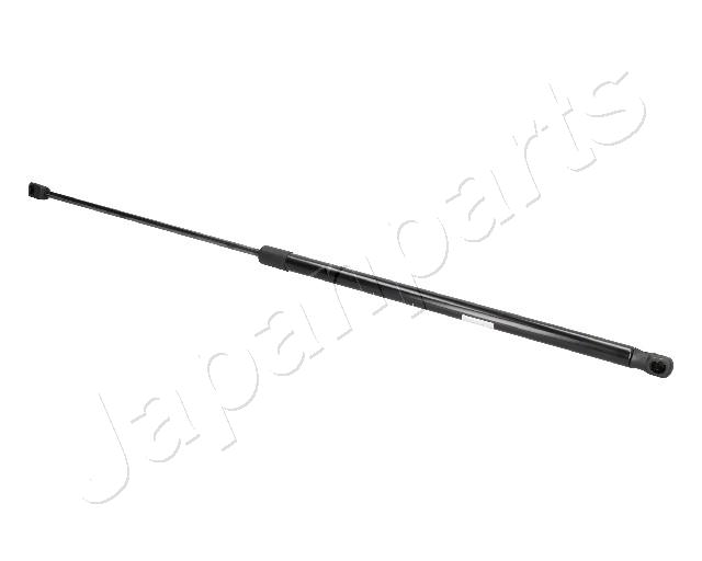 ZS09189