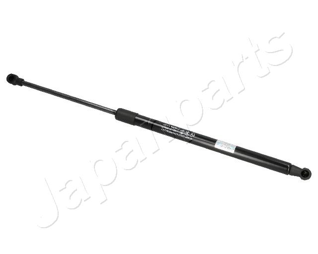 ZSW0010