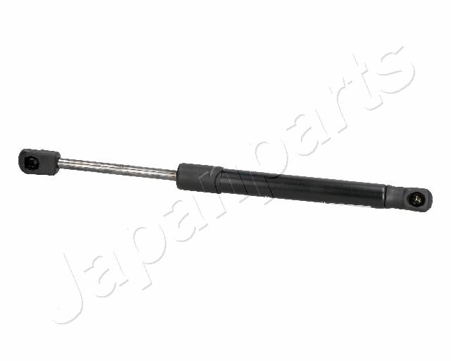 ZS06066