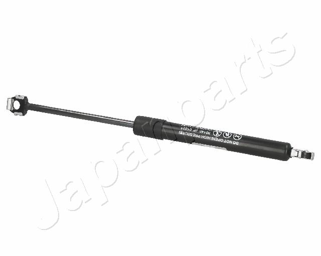 ZS01021