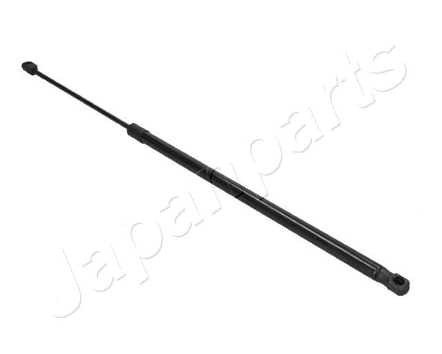 ZS09048
