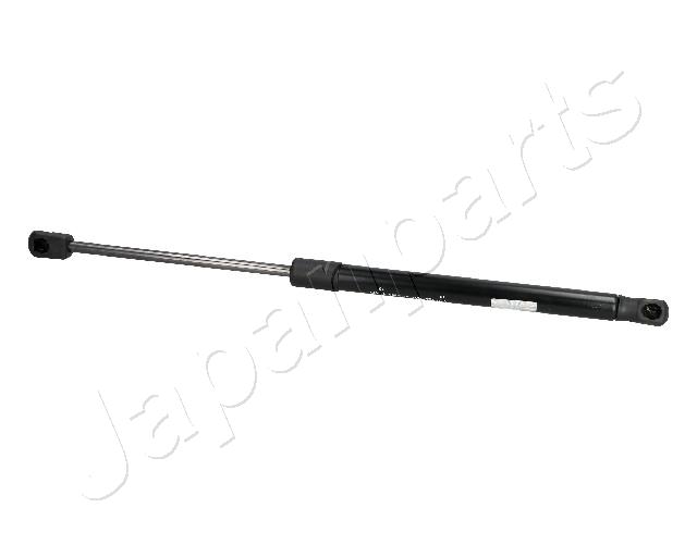 ZS05039