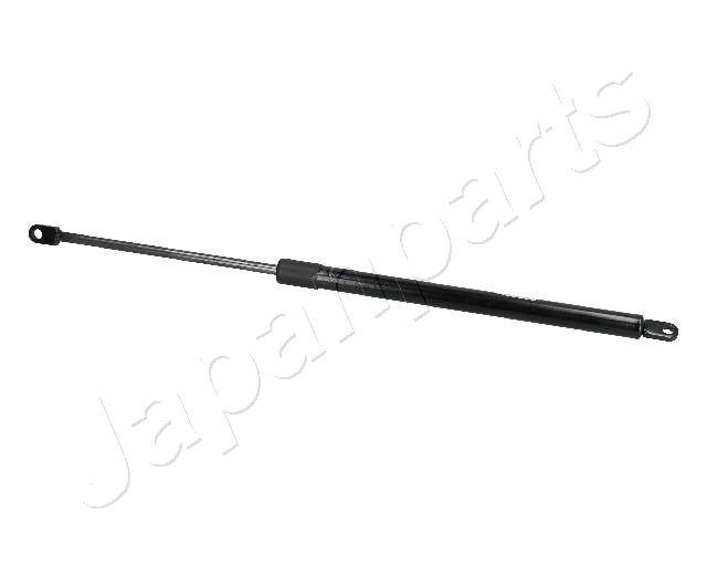 ZS09224