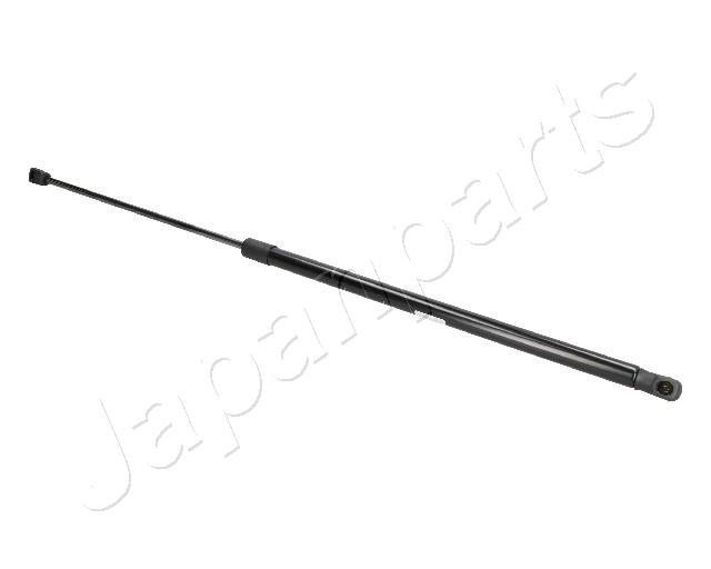 ZS09195