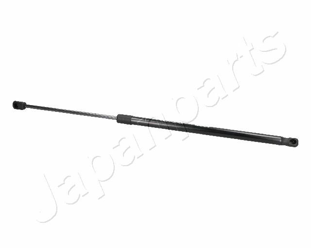 ZS06030