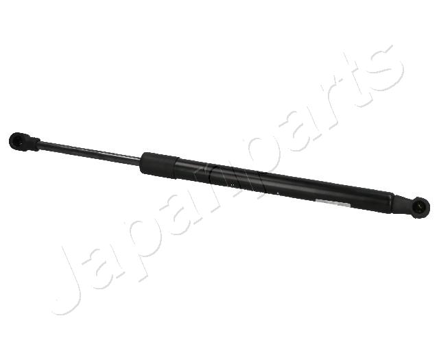 ZS01038