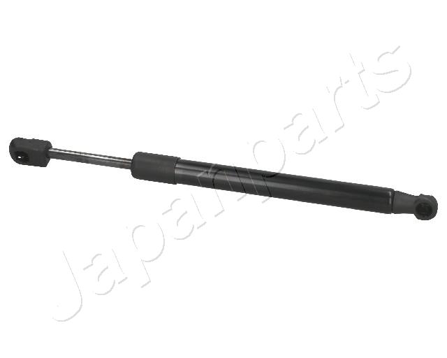ZS01080