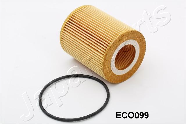 FO-ECO099