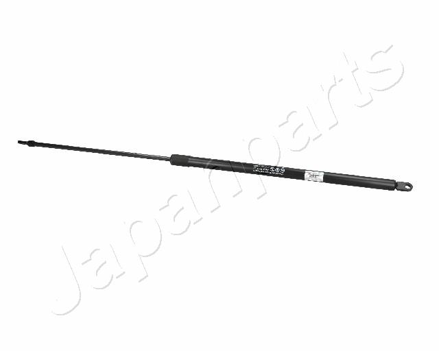 ZS09128