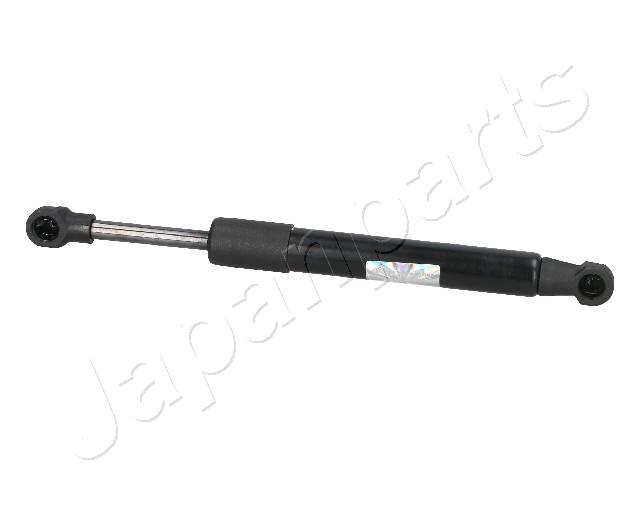 ZS09098
