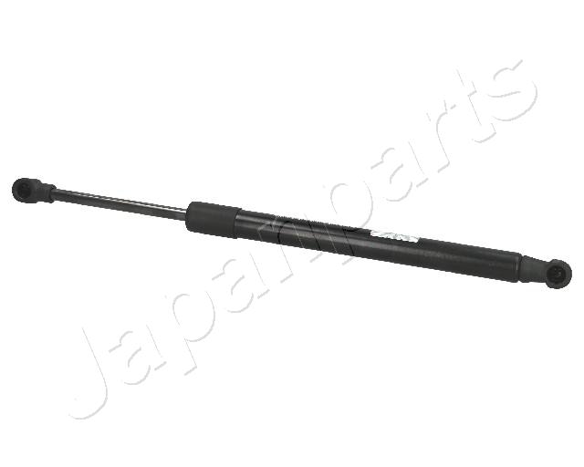 ZS01005