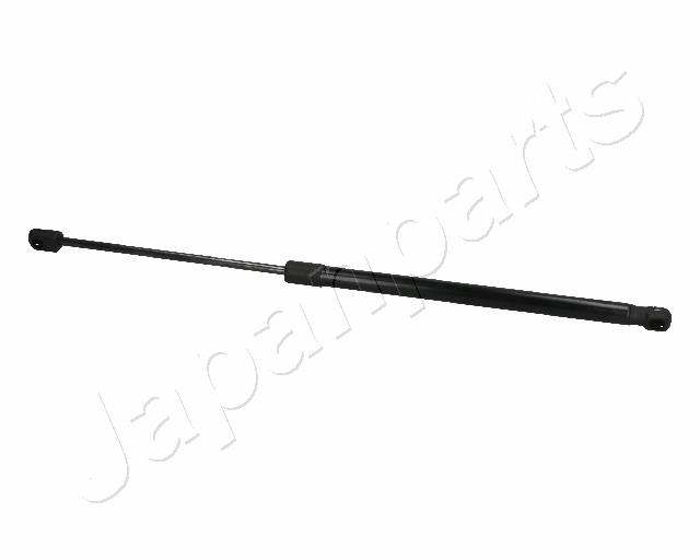 ZS06076