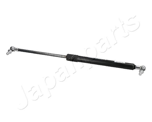 ZS10002