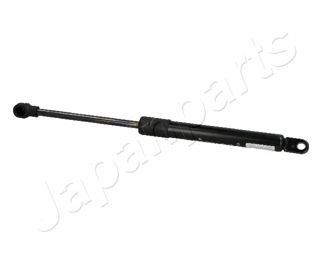 ZS06008