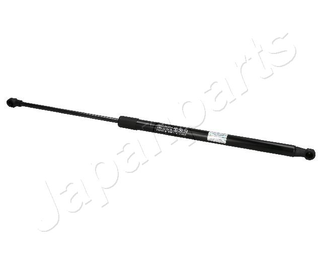 ZS01081