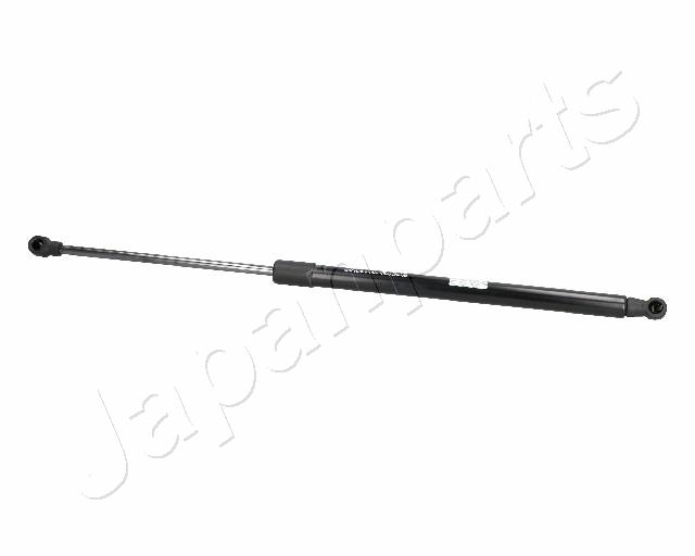 ZS06089