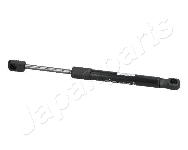 ZS09080