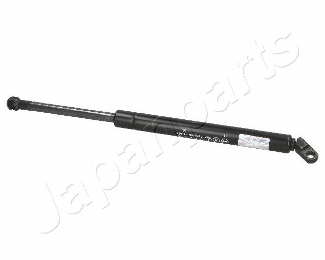 ZS01023