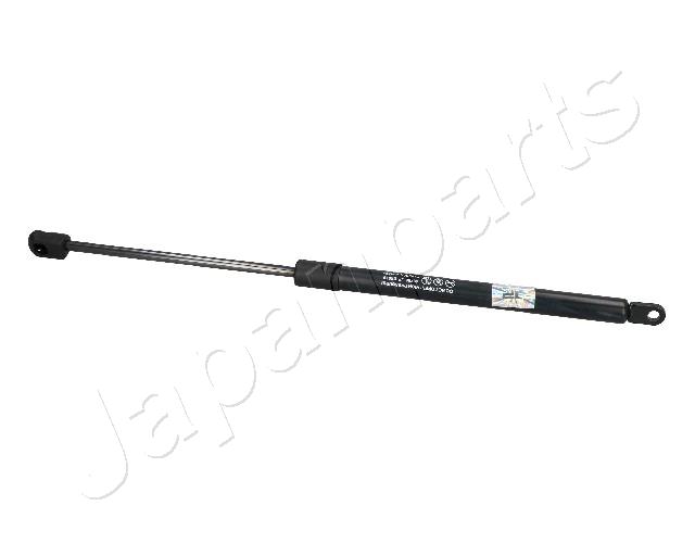 ZS03079