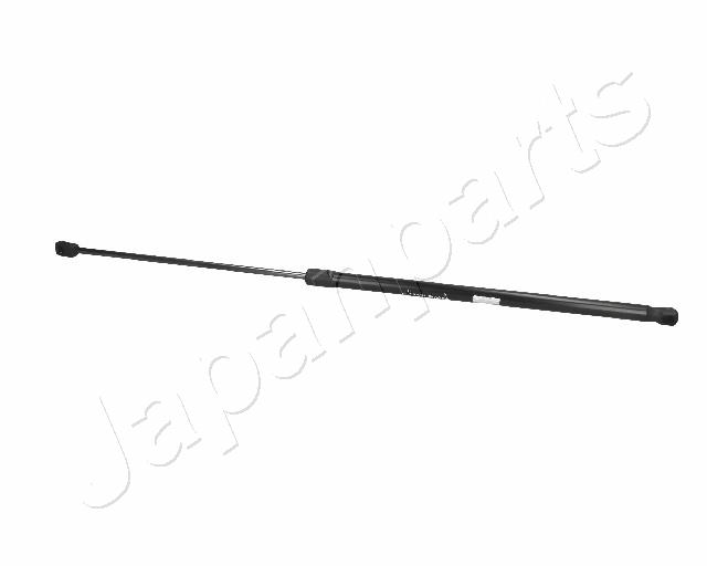 ZS09194