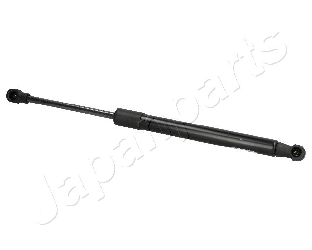 ZS01055