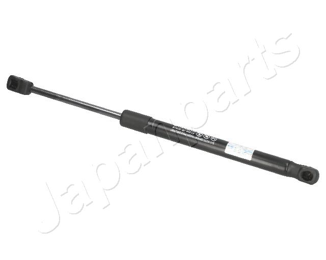 ZS02019