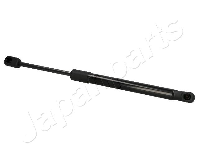 ZS01094