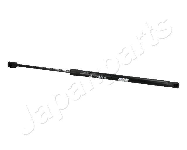 ZS10008