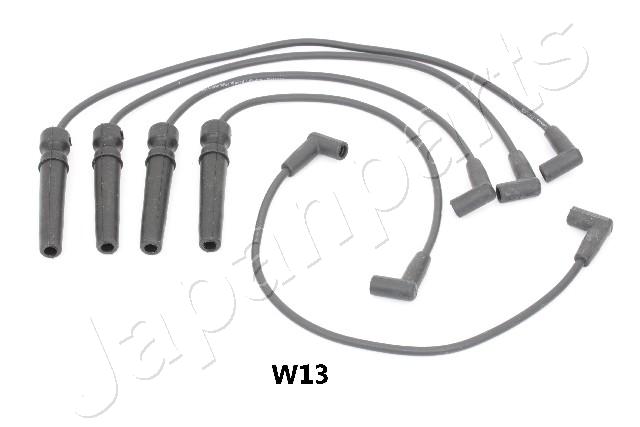 IC-W13