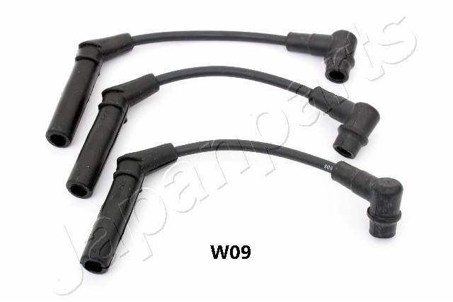 IC-W09