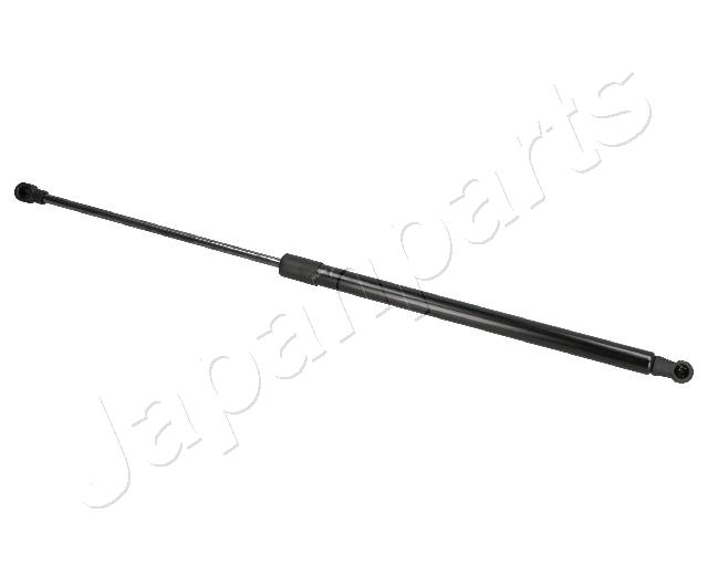 ZS07067