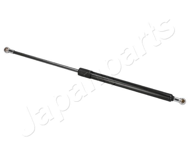 ZSW0012