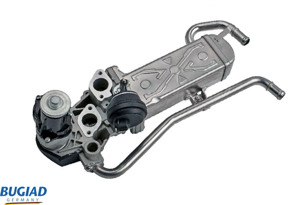 BSP25011