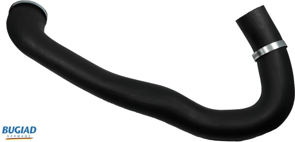 82040