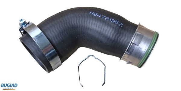 81952Prokit