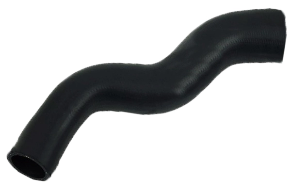 81831