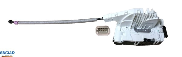 BDL13726
