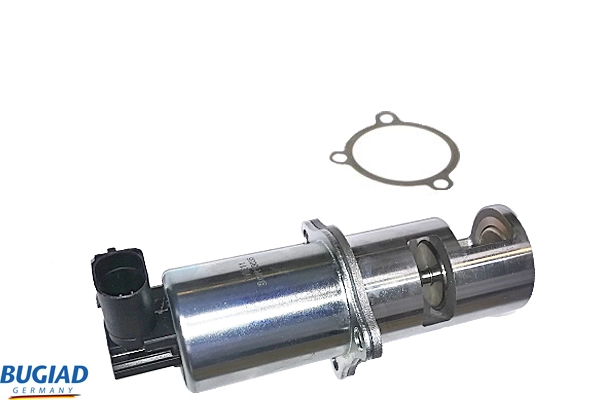 BGR13035