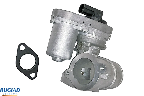 BGR13069
