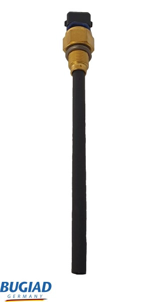 BOL15955