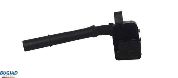 BIC19815